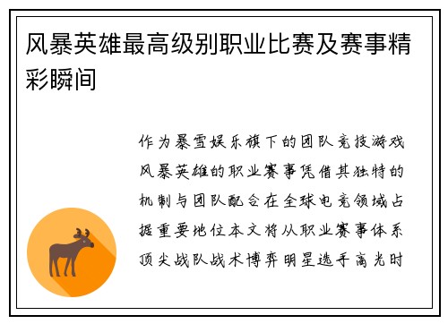 风暴英雄最高级别职业比赛及赛事精彩瞬间